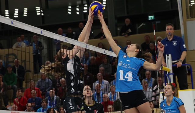 VCW reist am Mittwoch zum SC Potsdam Foto: Detlef Gottwald VCW reist am Mittwoch zum SC Potsdam - Foto: Detlef Gottwald