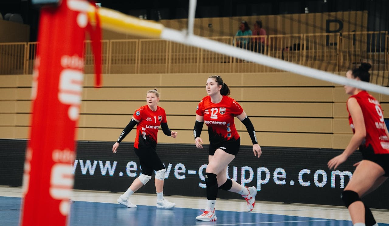 Black Forest Volleys unterliegen Wiesbaden - Foto:  VC Offenburg / Pascal Bähr