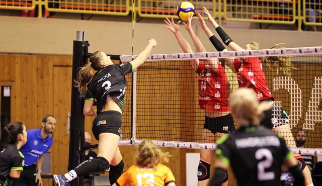Ladies unterliegen starken Dresdnerinnen Foto: Ladies in Black Aachen\ Andreas Steindl Ladies unterliegen starken Dresdnerinnen - Foto: Ladies in Black Aachen\ Andreas Steindl