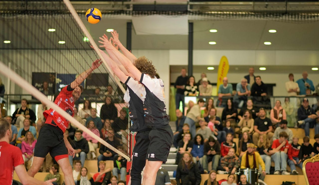 Barock Volleys empfangen Leipzig - Foto:  JUSTSHOTS / Roman Just