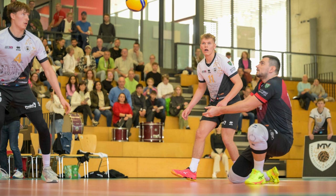 Barock Volleys empfangen Grafing - Foto:  JUSTSHOTS / Roman Just