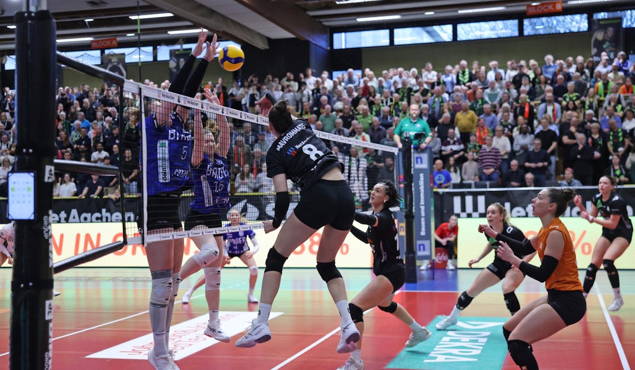 Blaubären leisten Aachen mutig Widerstand - Foto:  Andreas Steindl