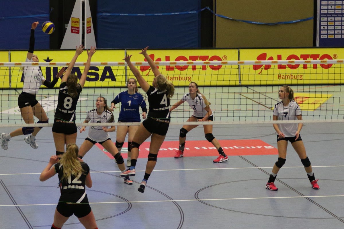 Ein Sieg ist Pflicht für das Volleyball-Team Hamburg Foto: VTH/Lehmann Ein Sieg ist Pflicht für das Volleyball-Team Hamburg - Foto: VTH/Lehmann