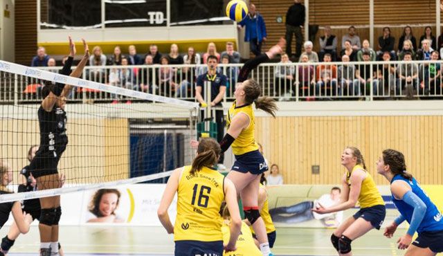 DSHS SnowTrex Köln gelingt 3:1-Revanche gegen Borken Foto: Martin Miseré DSHS SnowTrex Köln gelingt 3:1-Revanche gegen Borken - Foto: Martin Miseré