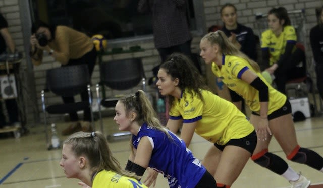 Wildcats gewinnen MV Derby ! - Foto:  H.Ströh