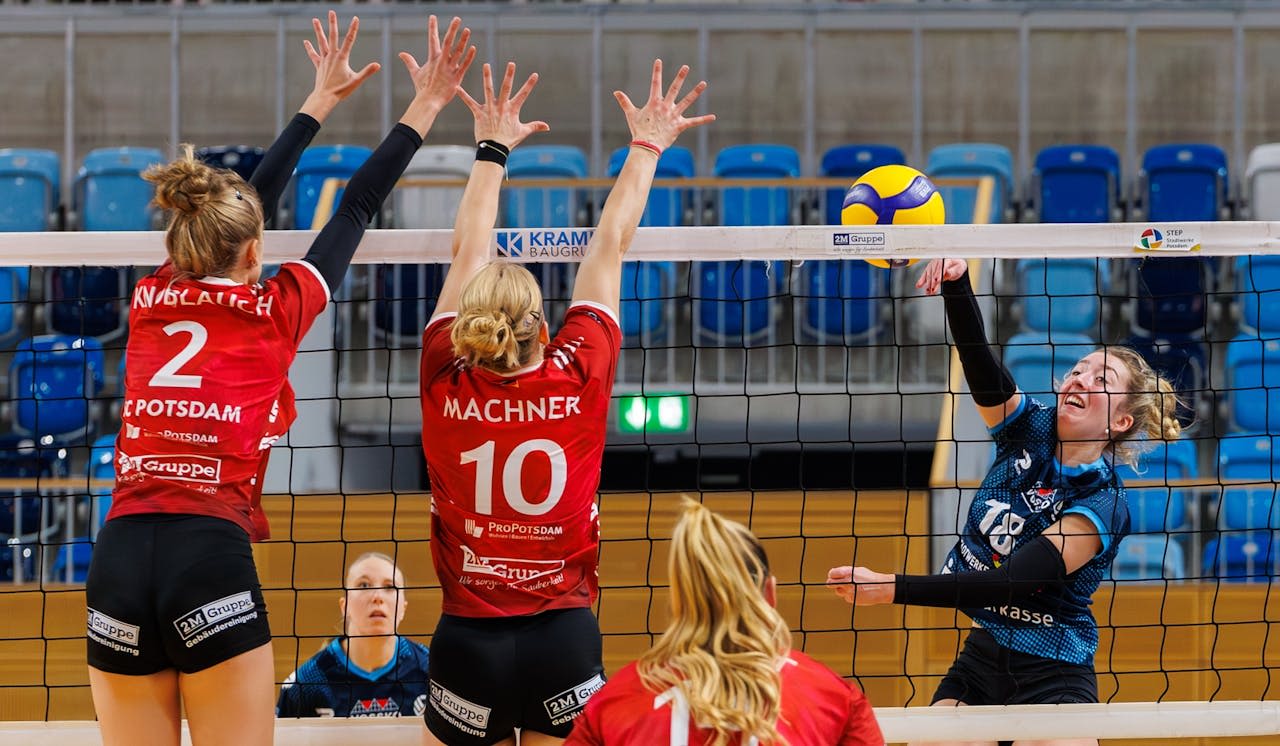 Nächstes Heimspiel für den SC Potsdam - Foto:  Frank Ziegenrücker / fraz Fotojournalismus & Fotodesign