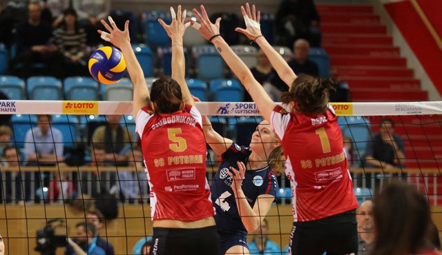 VCW verliert Playoff-Krimi Teil 1: 2:3-Niederlage in Potsdam Foto: Detlef Gottwald VCW verliert Playoff-Krimi Teil 1: 2:3-Niederlage in Potsdam - Foto: Detlef Gottwald