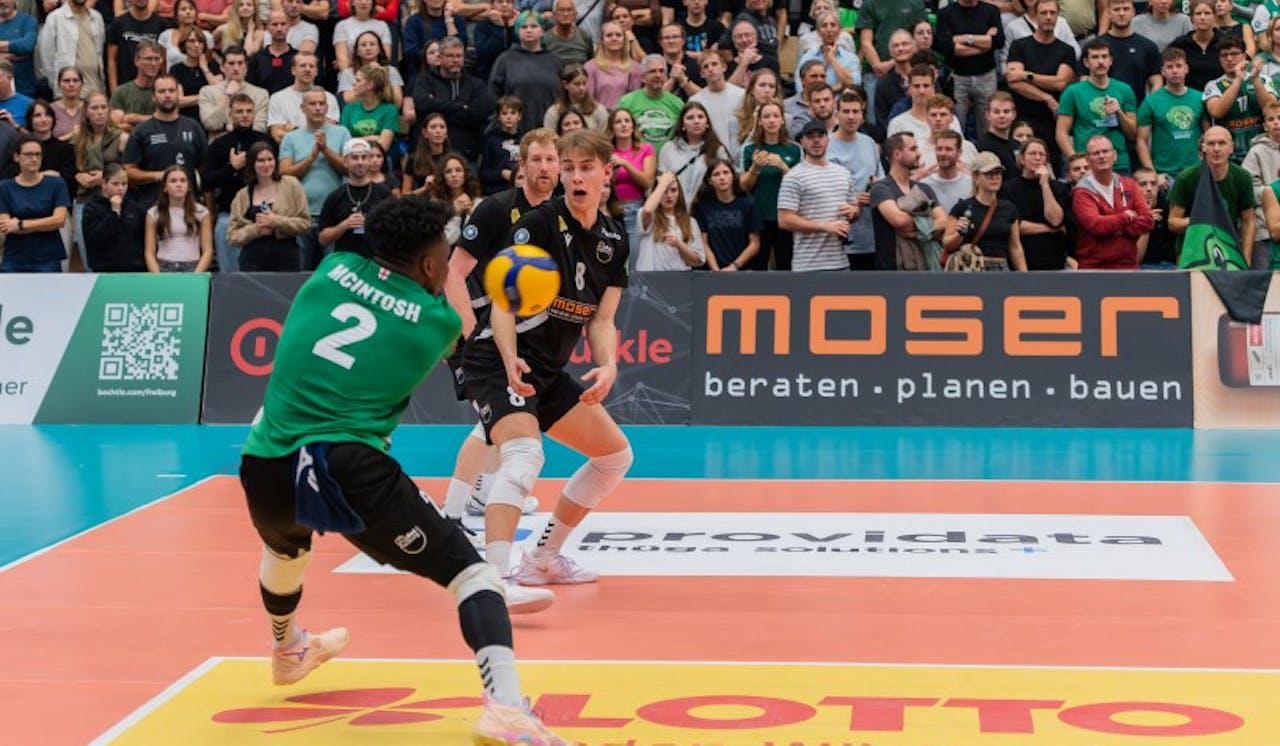 Etwas zu grün im Dschungelparadies - Foto:  Stephan Tapken