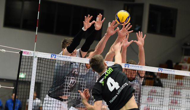 Grizzlys gebändigt Foto: Scheffler Grizzlys gebändigt - Foto: Scheffler
