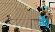 Endlich wieder ein Sieg für Altdorfs Zweitliga-Volleyballdamen  Foto: Stephan Lehmphul