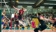 Souveräne Vorstellung: Ludwigsburgs Philipp Herrmann gegen die Volley Goats  Foto:  Anselm Berg