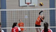 Am Wochenende messen sich die besten Volleyball-Talente Bayerns beim Bayernpokal Foto: Krause