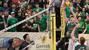 Schaffen die Affen noch den Sprung in die Playoffs? 