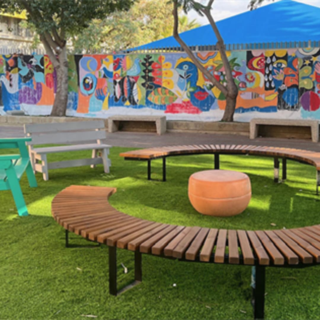 שחפים ומעגלים – בית ספר