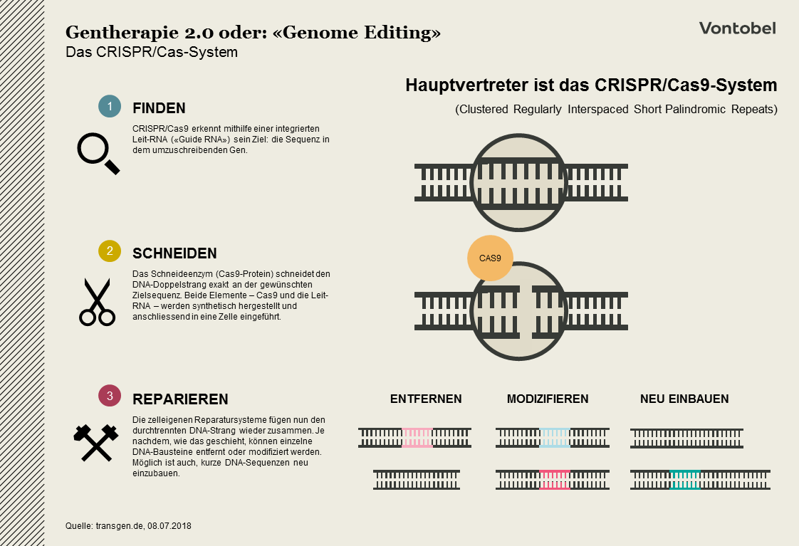 Gentherapie_20_Genomediting_CRISPR_CAS_system_Jun18