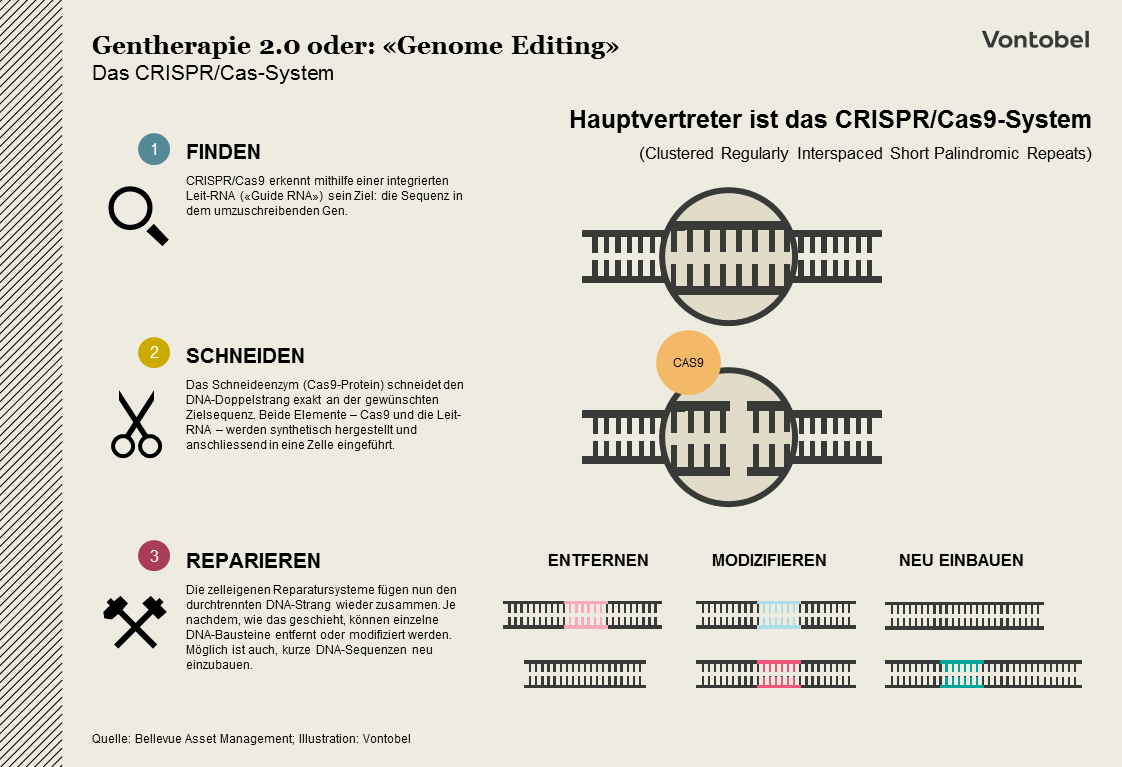 Gentherapie_20_Genomediting_CRISPR_CAS_system_Jun18