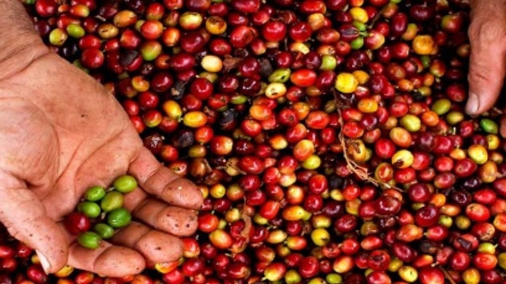 Bild von Kaffeebohnen