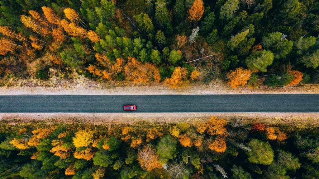 Bil som kör på en skogsväg