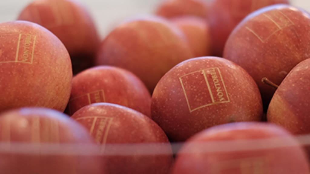 Äpfel - Apple-Basket - Headerimage