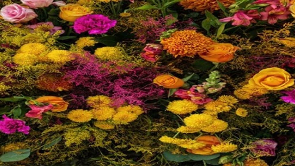 Header_Image_Bllumen