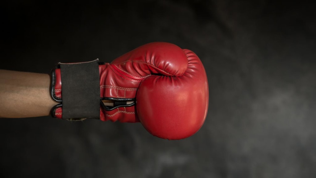 copertina brochure leva fissa