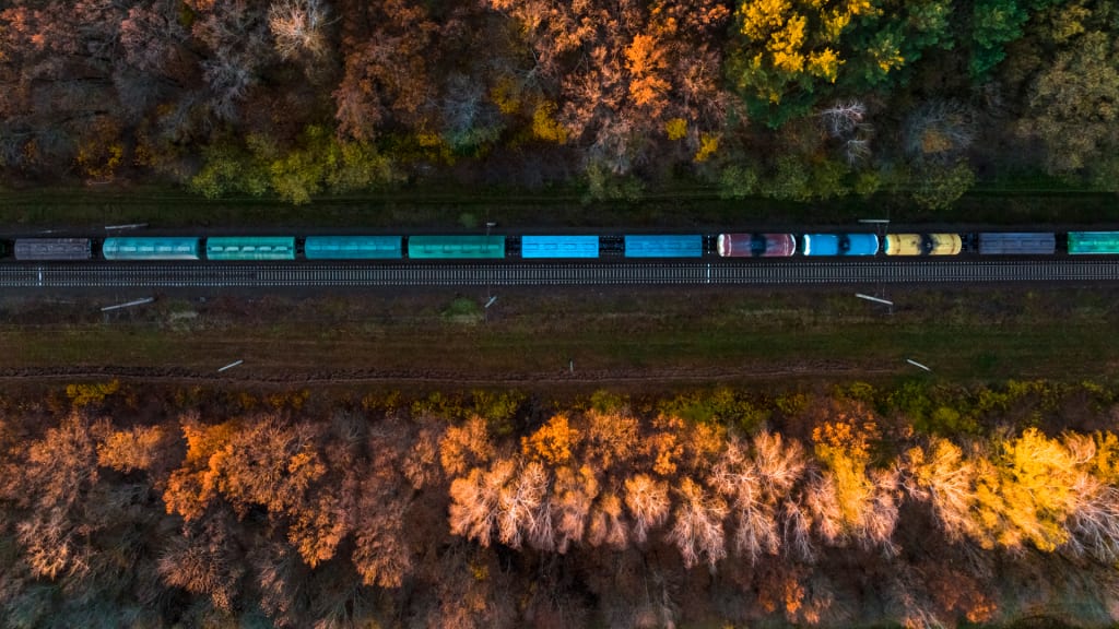 Treno che si muove nella natura