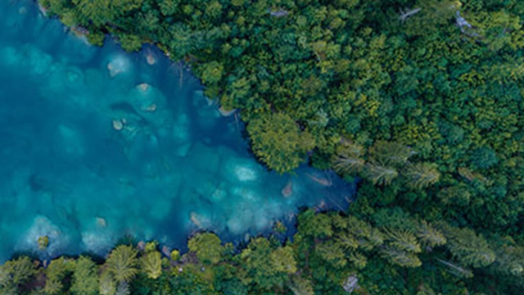 Fluss und Wald - Biodiversität - Headerimage