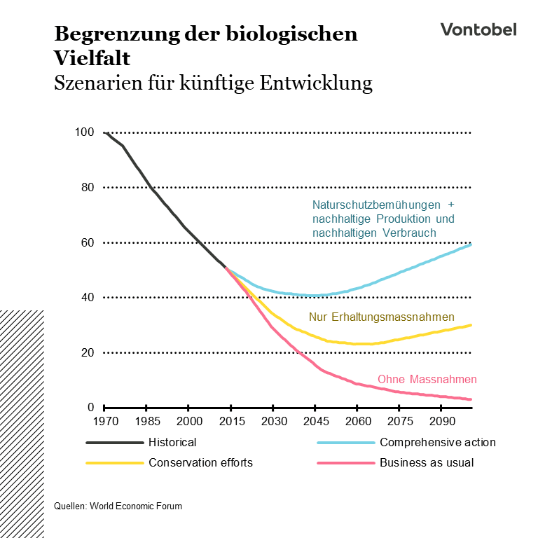 Prognosen für die Entwicklung der Wildtierpopulation basierend auf diversen Erhaltungsmassnahmen