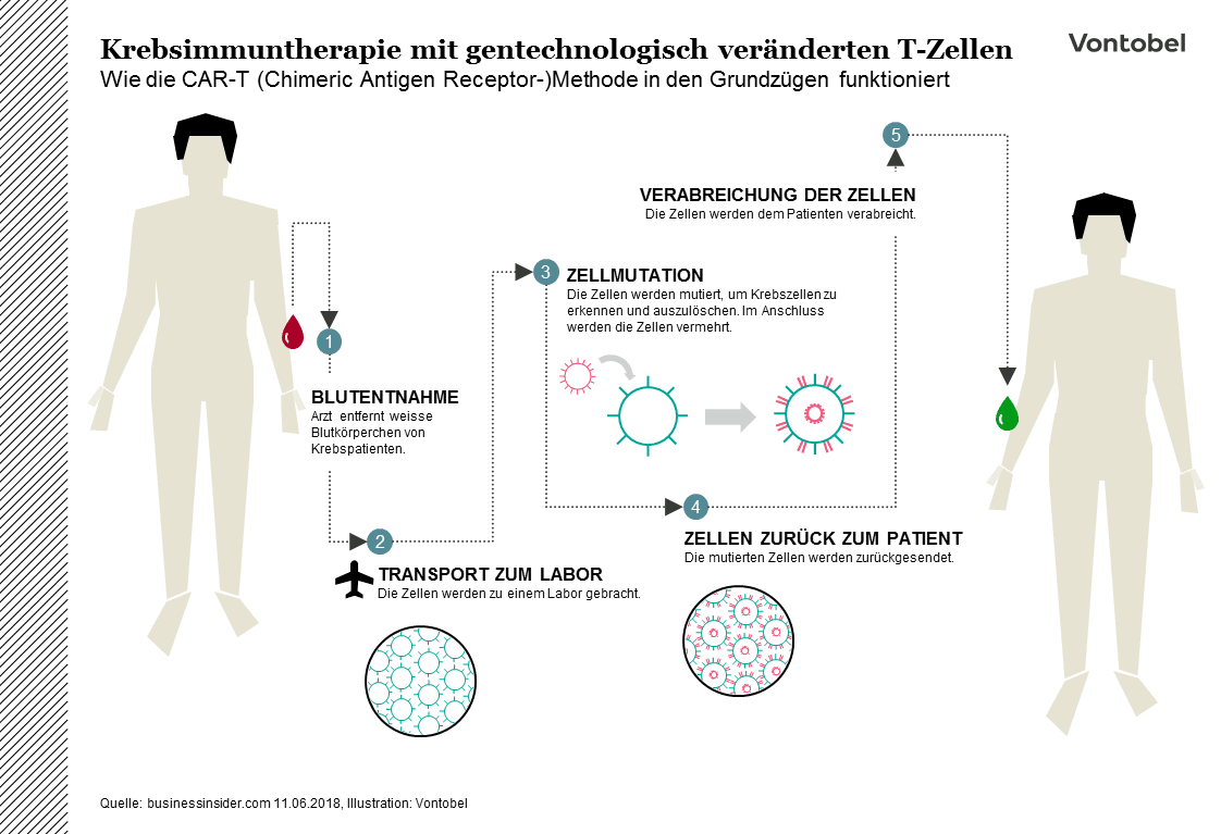 Gentherapie Infografik mit zwei Menschen