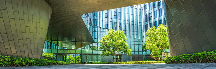 Bild eines Vorhofs mit einem Baum