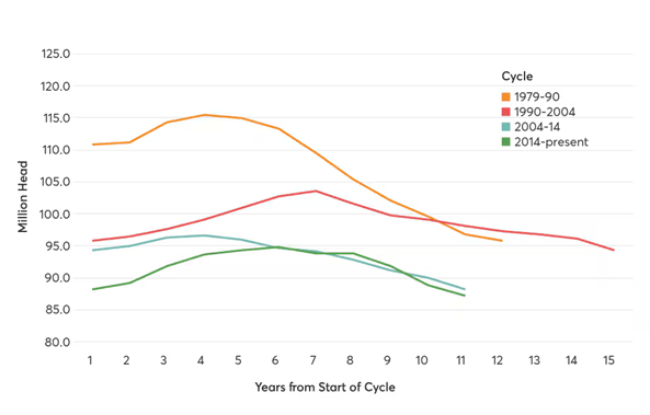Jämförelse av nötkreaturcykler från 1979 till idag