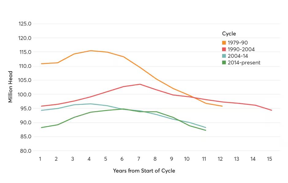 Nötkreaturscykel från 1979 till idag