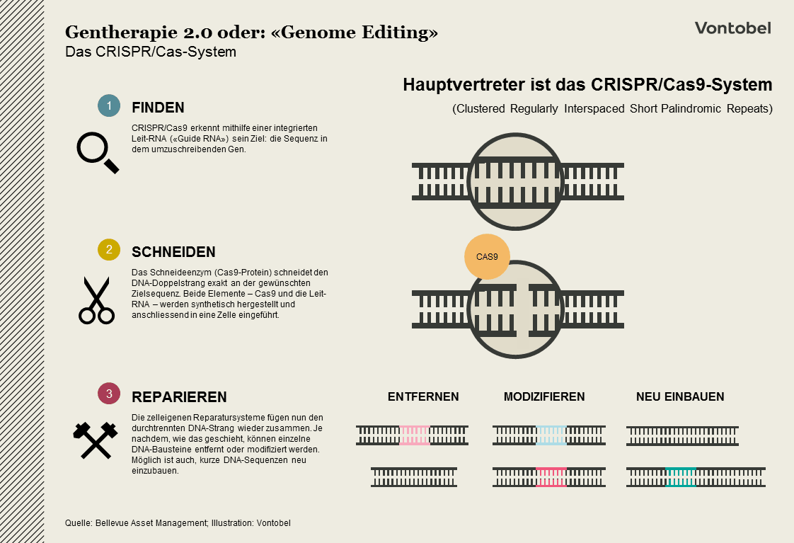 Infografik zum Thema Genomediting CRISPR 