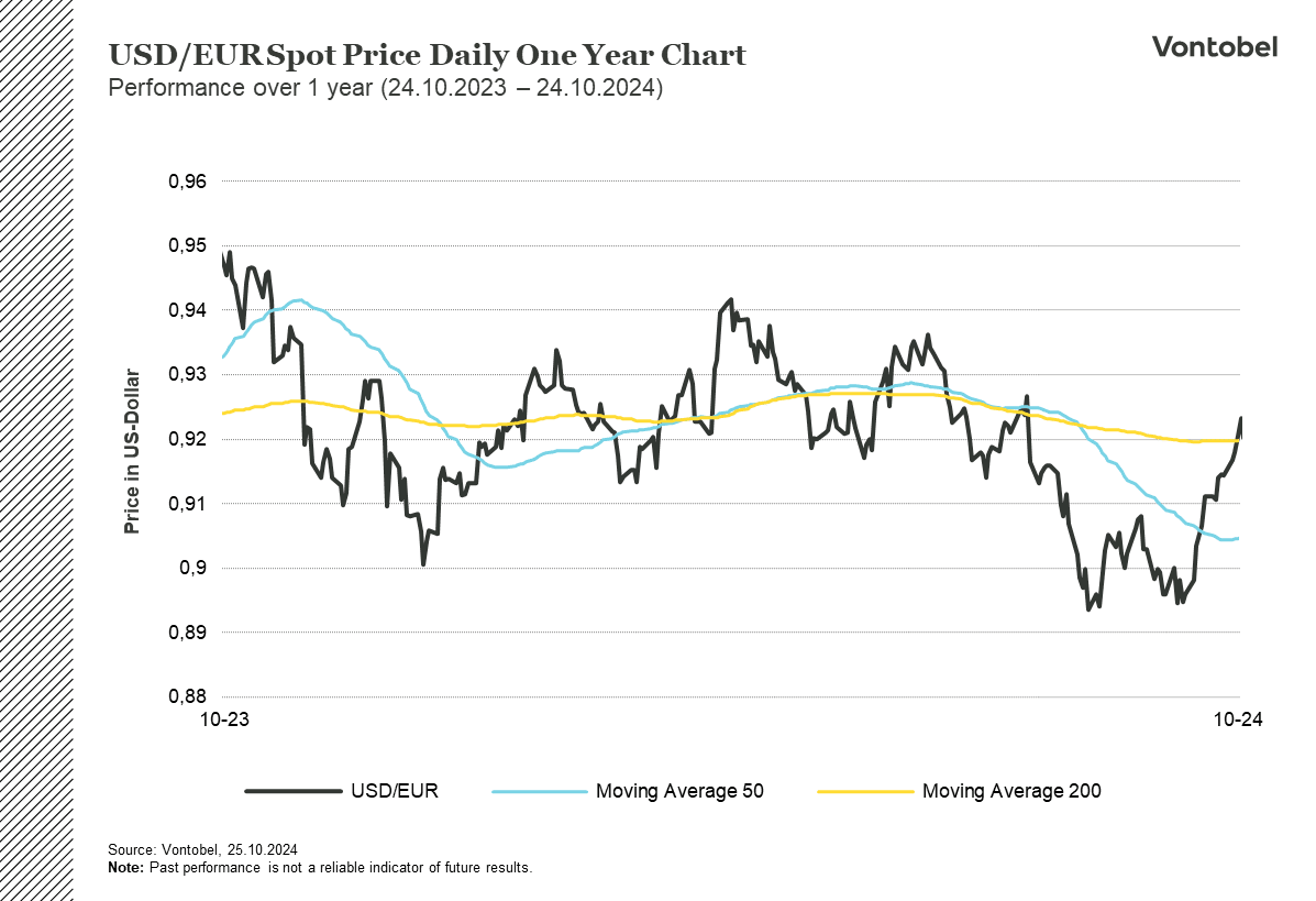 Historical one year exchange rate between USD/EUR