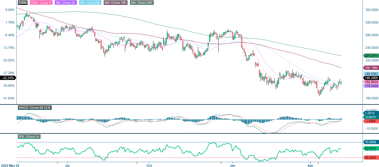 Salesforce Inc (USD) 1-Year Daily Chart: Price Performance & Trends
