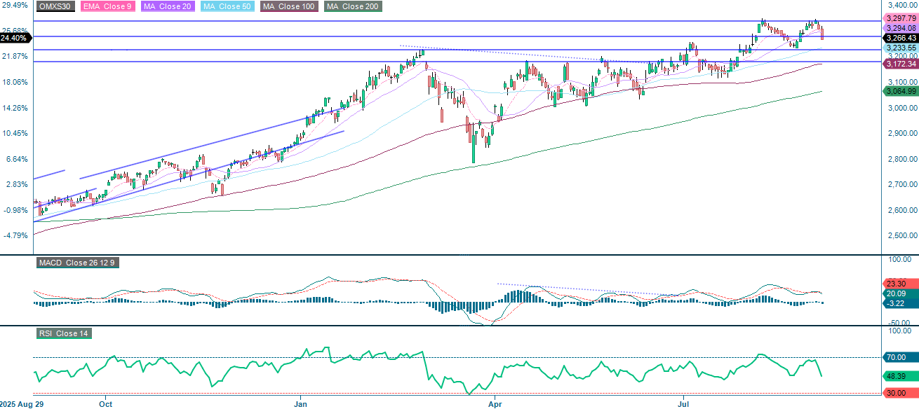 Line chart of the OMX30 index in SEK over one year using daily data points.
