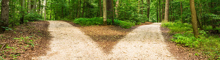 Weggabelung im Wald