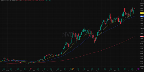 NVIDIA share price over one year, showing key trends, price swings, support and resistance levels.