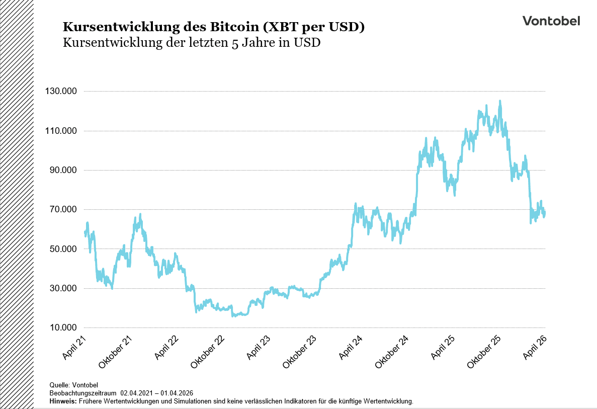 Kursentwicklung des Bitcoin (5 Jahre)
