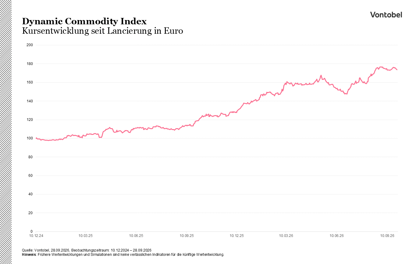PP RM Dynamic Commodity Index Kursentwicklung seit Lancierung