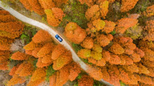 Foto Nuova emissione