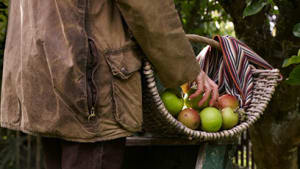  Mand med en kurv fuld af æbler Header