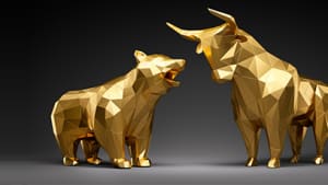 Bild eines Bullen und eines Bären