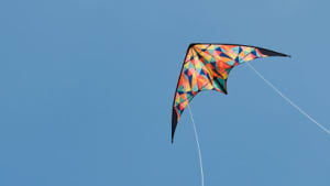 Drache - Headerbild für Fallen Angels