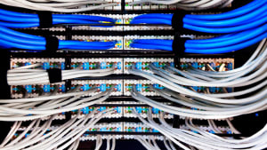 Close-up image of network cables connected to a switch, showing data connections.