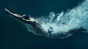 Immagine di un subacqueo