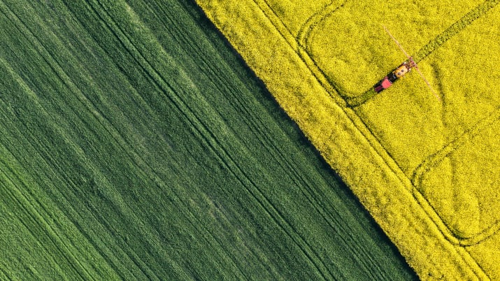 Rohstoffe: aktiver Ansatz macht sich bezahlt