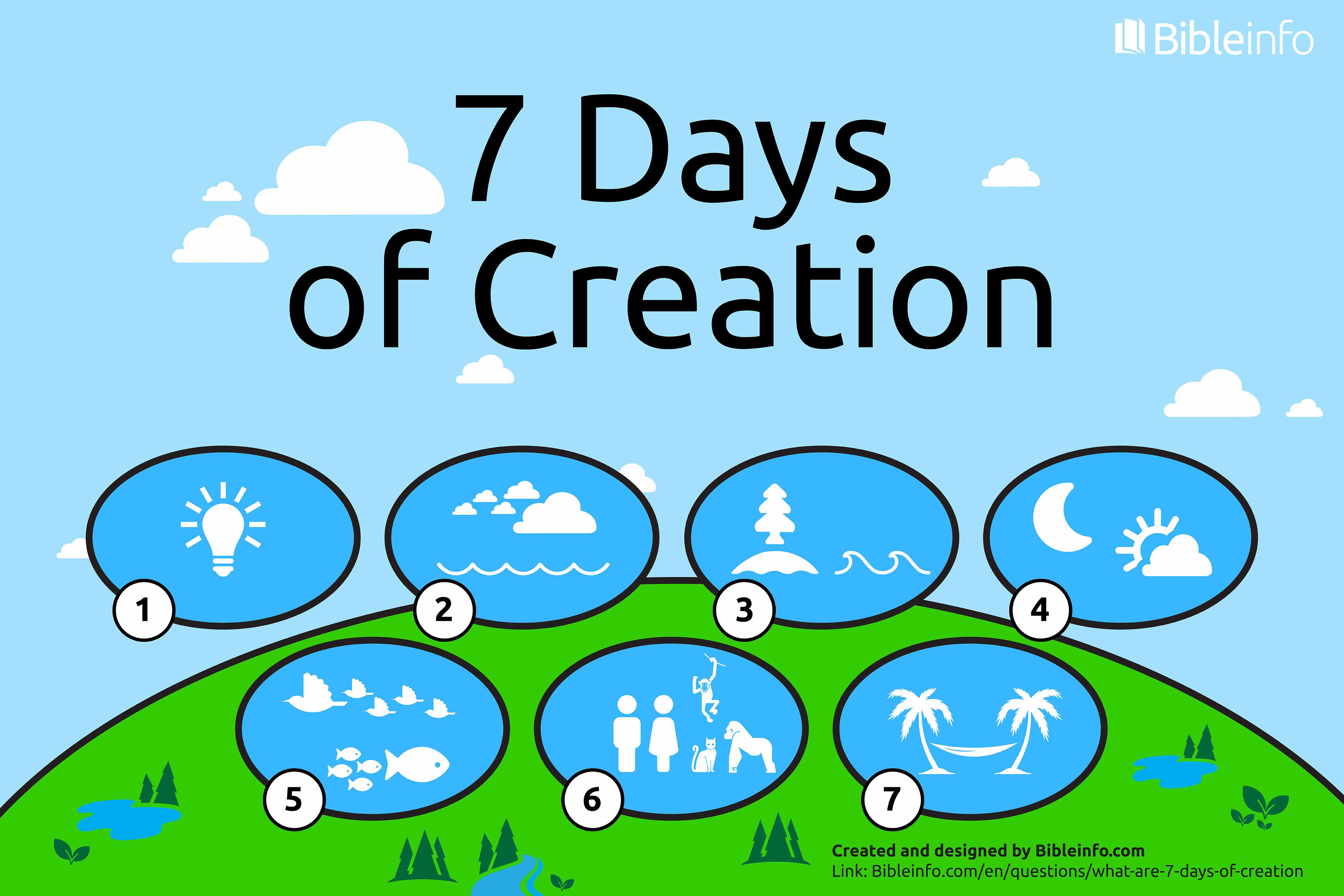 Six Days Of Creation Chart