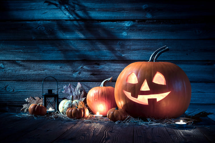 Collection of pumpkins