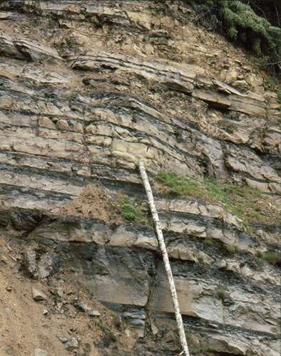 Turbidites